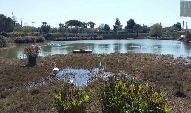 Conversano e i suoi laghi: i segreti di quegli insoliti e pittoreschi specchi d'acqua